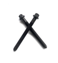 Screw 04202005